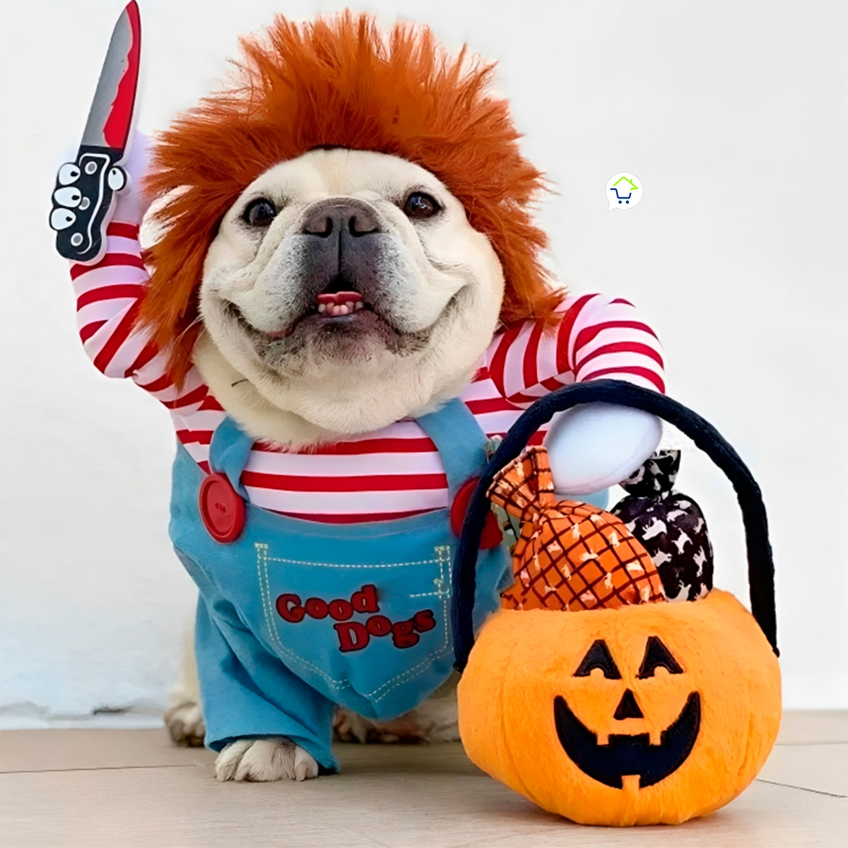 Disfraz Para Mascotas De Chucky | Tu mascota a la moda para Halloween
