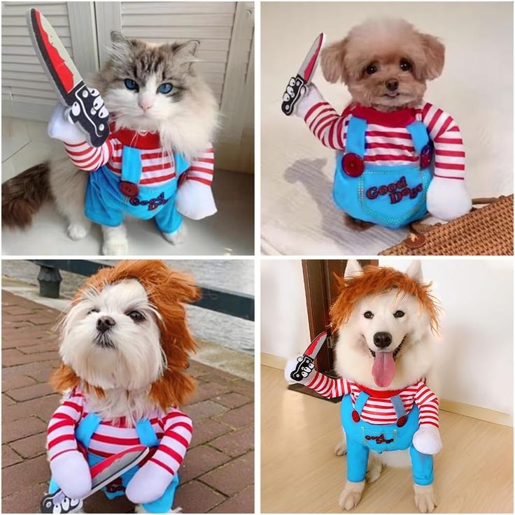 Disfraz Para Mascotas De Chucky | Tu mascota a la moda para Halloween