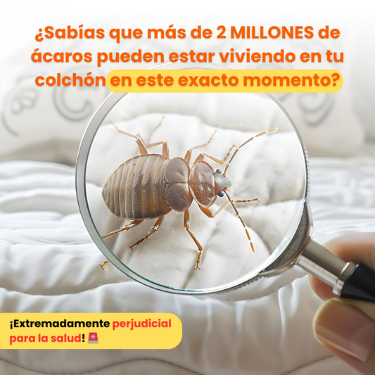 Aspiradora de ácaros y suciedad | Combate las bacterias que causan alergias y enfermedades